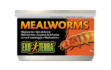 Exo Terra - Vers de Farine pour Reptiles - 34g
