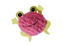 Tyrol - Jouet Grenouille rose pour Chat - 9cm Indicateur image numéro 4