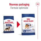 Royal Canin - Croquettes Maxi Adult - 4Kg image number null