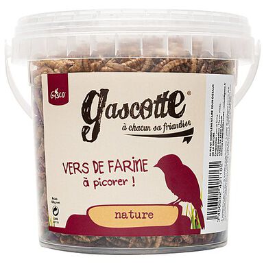 Animalis - Mélange de Graines pour Oiseaux des Jardins - 1Kg