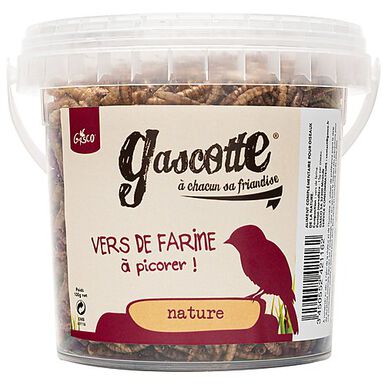 Gasco - Vers de Farine Gascotte à Picorer pour Oiseaux des Jardins - 100g