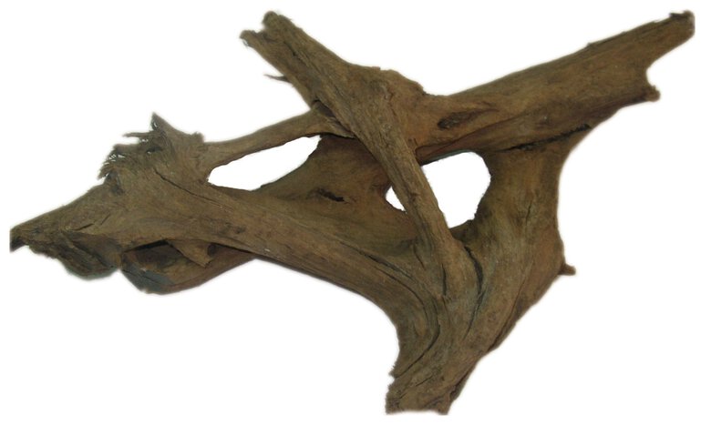 Aquavie - Décoration Racine Malaisie pour Aquarium - XS Image numéro 1 Aquavie - Décoration Racine Malaisie pour Aquarium - XS Image numéro 1