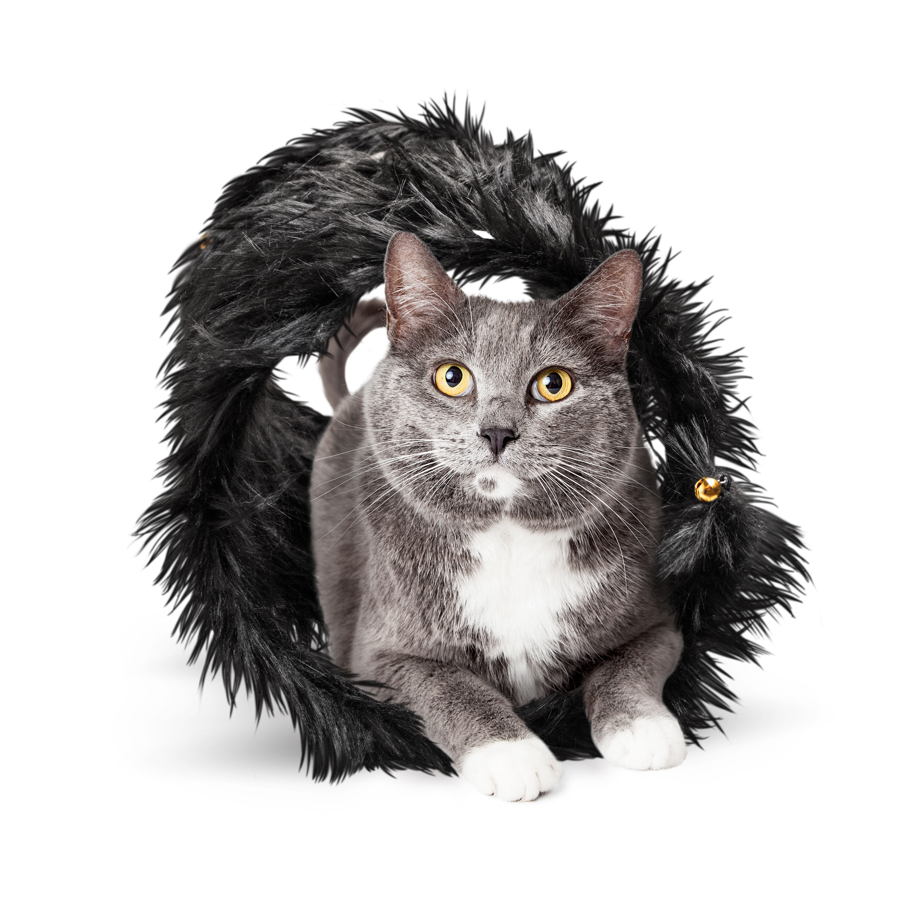 Playology - Jouet Tunnel Pelucheux pour Chats - 29,8cm Image num&eacute;ro 3