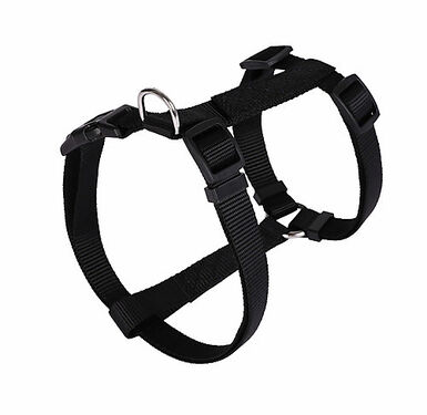 Animalis - Harnais Basic T4 40mm et 74/117cm pour Chien - Noir