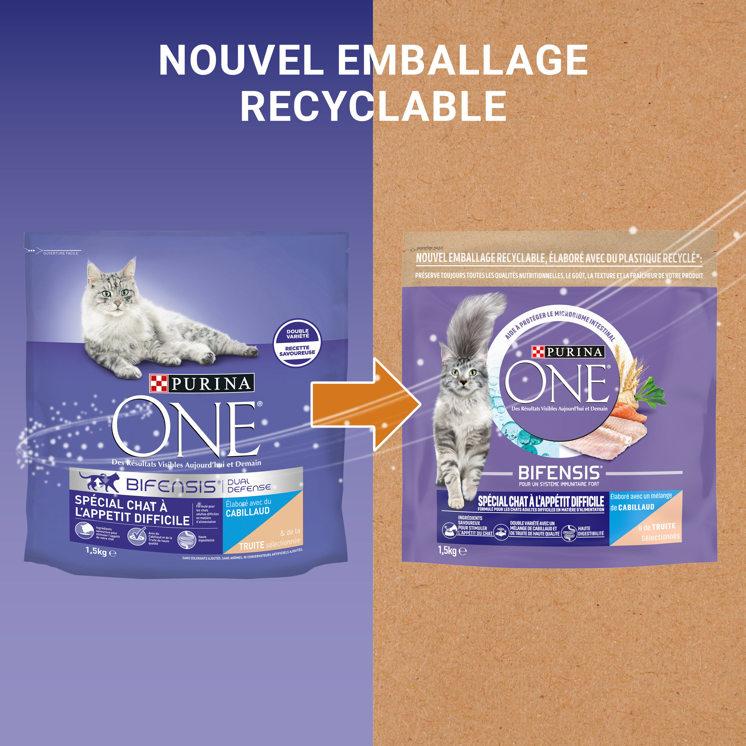 Purina One - Croquettes Sp&eacute;cial Chat difficile au Cabillaud et &agrave; la Truite - 1,5kg Image num&eacute;ro 8