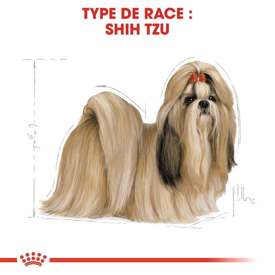 Royal Canin - Croquettes Shi Tzu pour Chien Adulte - 1,5Kg Image num&eacute;ro 3