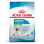 Royal Canin - Croquettes X-Small Puppy pour Chiots de 2 &agrave; 10 Mois - 500g Indicateur image num&eacute;ro 2