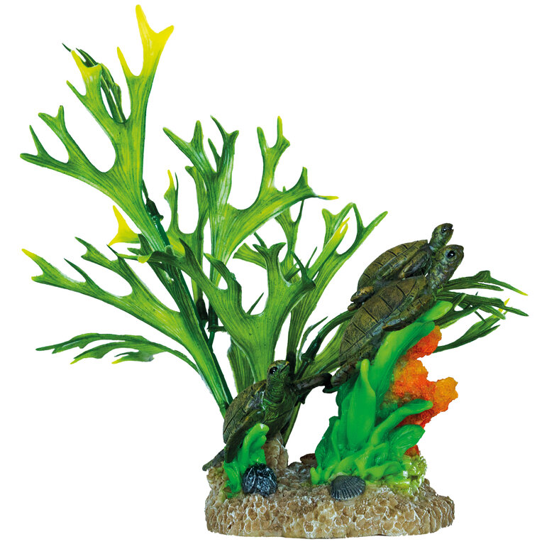 Superfish - Décoration Garden Turtle pour Aquarium - 26cm Image numéro 1 Superfish - Décoration Garden Turtle pour Aquarium - 26cm Image numéro 1