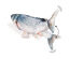 Flamingo - Jouet Electronique Flounder Poisson - 29cm Indicateur image numéro 4