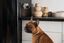 Petcube - Petcube Pet Cam pour Chiens et Chats - x1 Indicateur image num&eacute;ro 6