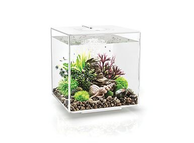 biOrb - Aquarium Cube 30 mcr blanc