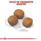 Royal Canin - Croquettes Giant Puppy pour Chiot - 15Kg image number null