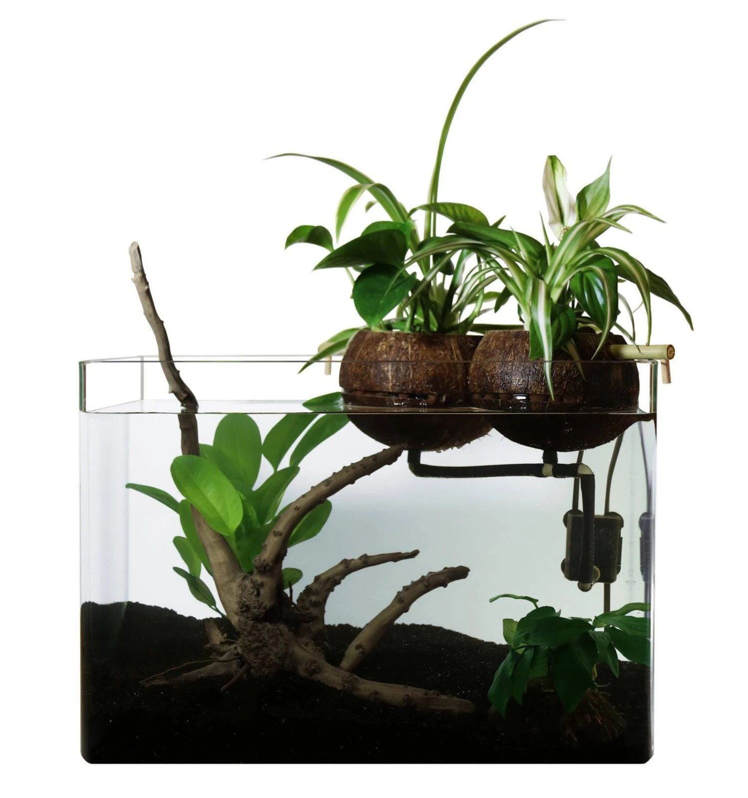 CocoPlant - Filtration Naturelle Coco80 pour Aquarium Image num&eacute;ro 1