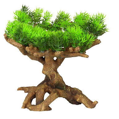 Aquadella - Décoration FLORASCAPE 11 M pour Aquarium - 22x19x23,5cm