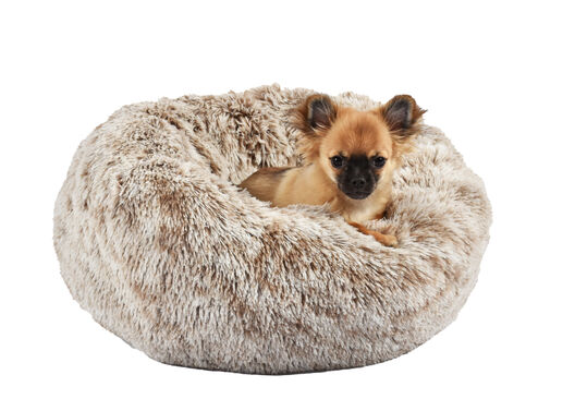 Bobby - Coussin Donut Poilu Taupe pour Chien - M image number null