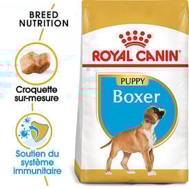 Royal Canin - Croquettes Boxer Junior pour Chien