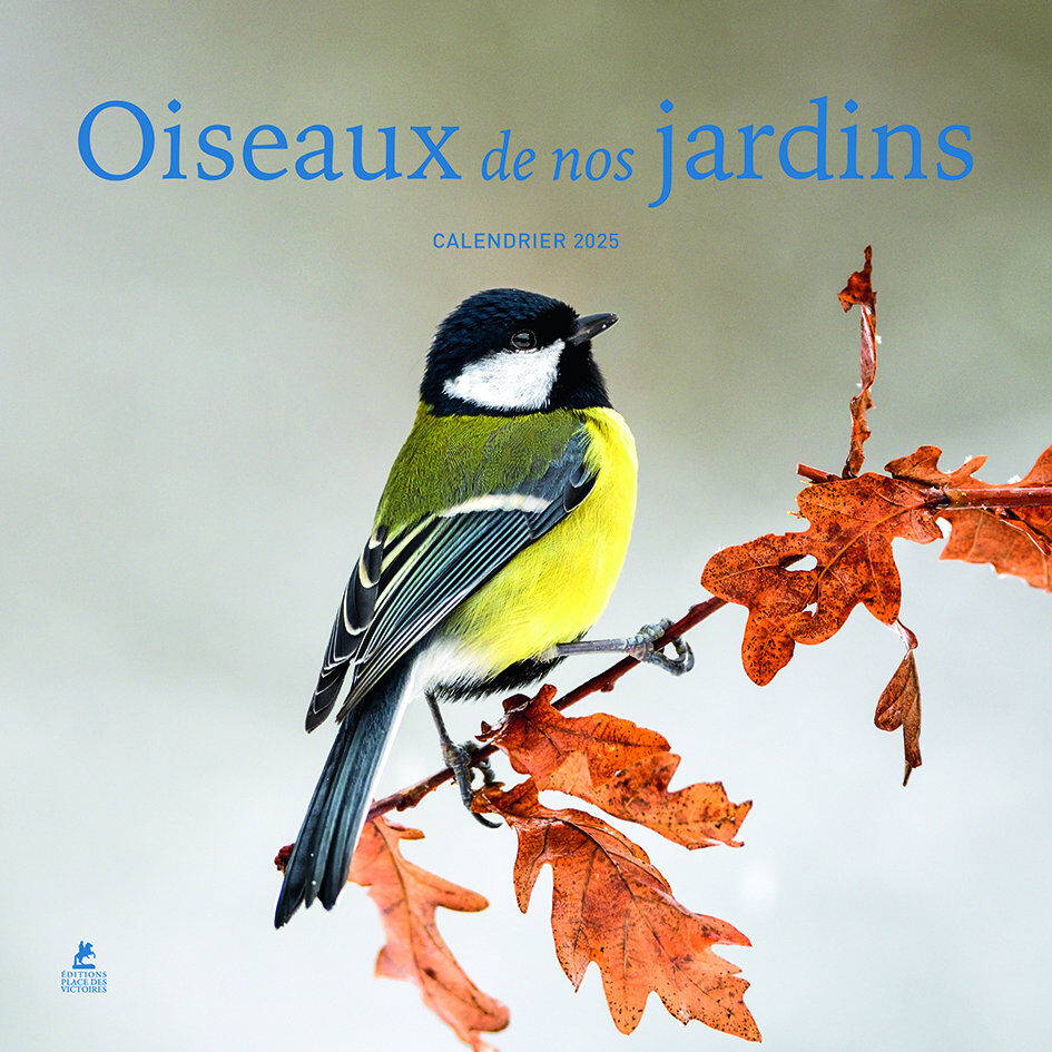 Ulmer - Calendrier oiseaux de nos jardins 2025 Image num&eacute;ro 1