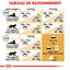 Royal Canin - Croquettes Bengal pour Chat Adulte - 2Kg Indicateur image numéro 7