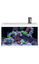 Eheim - Aquarium AquaStar Marine LED Équipé de 63L - Blanc Indicateur image numéro 4