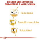 Royal Canin - Croquettes Carlin pour Chien Adulte - 1,5Kg image number null