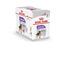 Royal Canin - Sachets Sterilised en Mousse pour Chien - 12X85g Indicateur image numéro 2