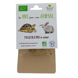 Thibaud - Pissenlit BIO à Semer - 0,20g