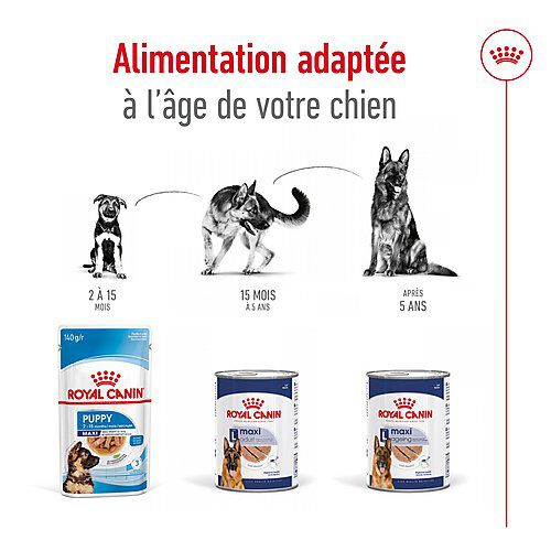 Royal Canin - P&acirc;t&eacute;e en Mousse Maxi Adult Ageing L - 410g Image num&eacute;ro 5