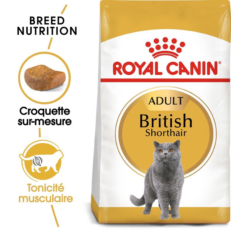 Royal Canin - Croquettes British Shorthair pour Chat Adulte - 2Kg Image numéro 1 Royal Canin - Croquettes British Shorthair pour Chat Adulte - 2Kg Image numéro 1
