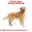 Royal Canin - Croquettes Golden Retriever pour Chien Adulte - 12Kg Indicateur image numéro 3