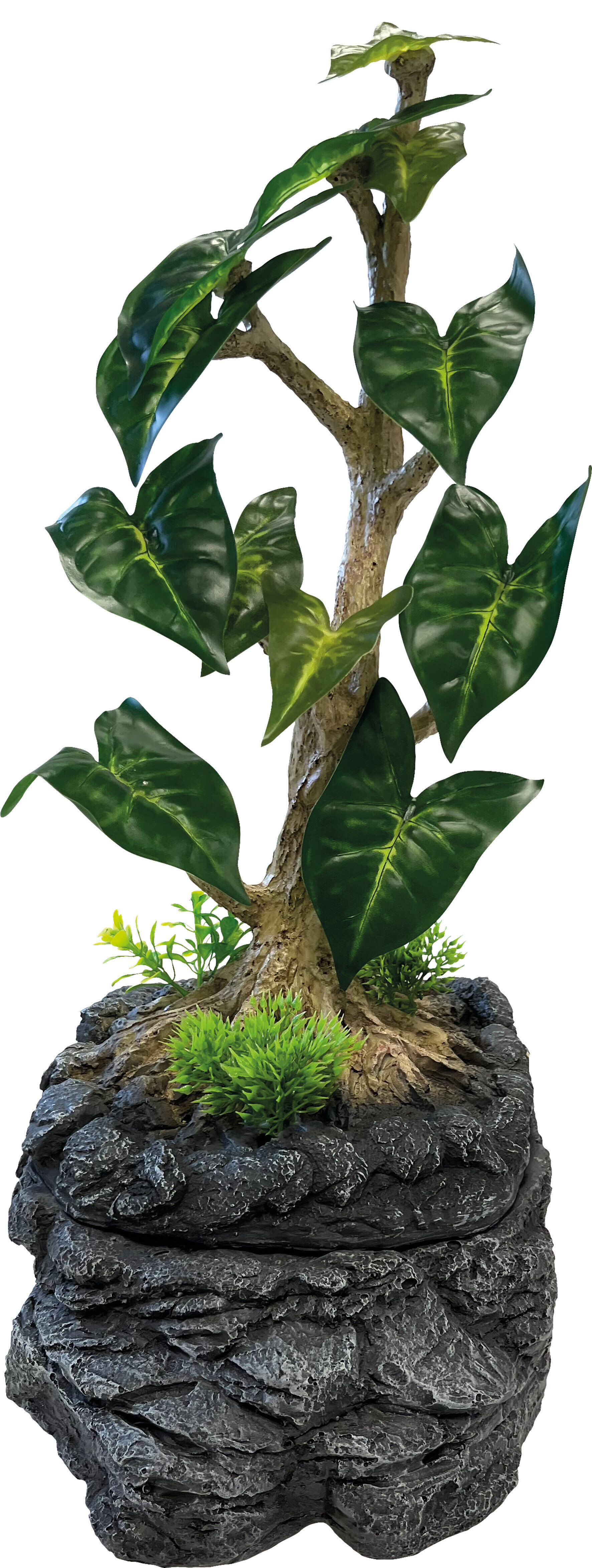 Repto - Arbre &agrave; Gouttes D'Eau - R&eacute;ptiles Image num&eacute;ro 3