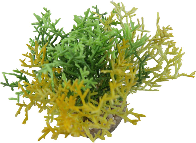 Labeo - Corail coloré - Plante Artificielle Aquarium Image numéro 2 Labeo - Corail coloré - Plante Artificielle Aquarium Image numéro 2