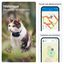 Tractive - Traceur GPS CAT mini pour Chats - 25g Indicateur image numéro 4