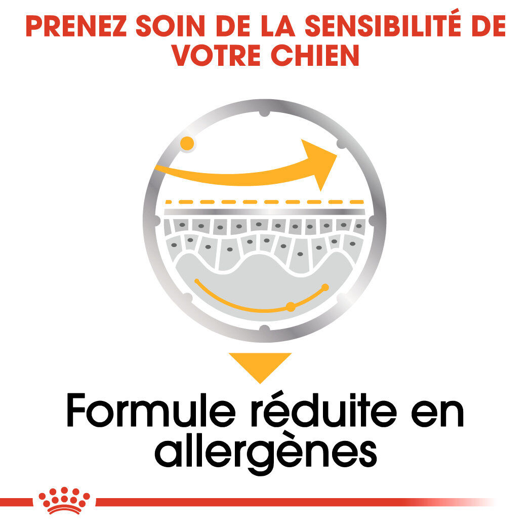 Royal Canin - Sachets Dermacomfort en  Mousse pour Chien - 12X85g Image num&eacute;ro 5