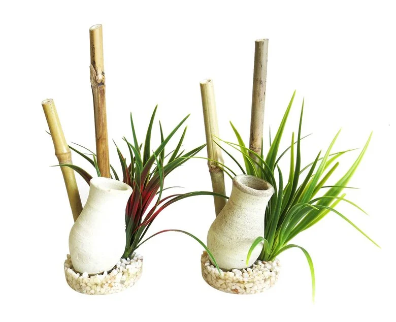 Sydeco - Décoration Plante Artificielle Jardin Japonais pour Aquarium Image numéro 1 Sydeco - Décoration Plante Artificielle Jardin Japonais pour Aquarium Image numéro 1