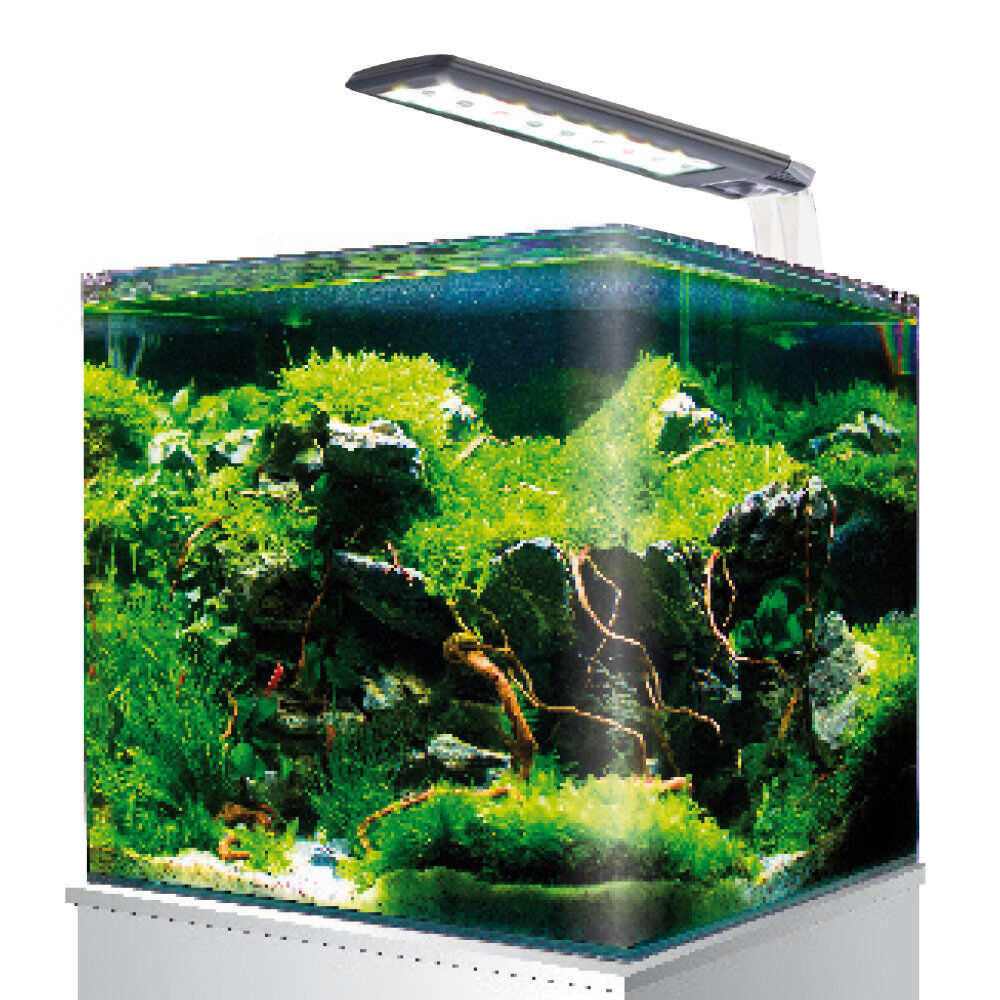 Amtra - Kit Aquarium Nanotank System 36 - 40x30x30cm Image num&eacute;ro 2