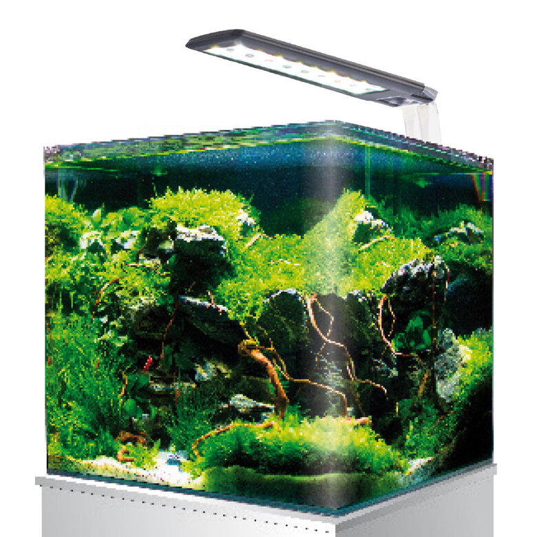 Amtra - Kit Aquarium Nanotank System 36 - 40x30x30cm Image numéro 2 Amtra - Kit Aquarium Nanotank System 36 - 40x30x30cm Image numéro 2