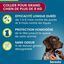 Elanco - Collier Seresto Antiparasitaires pour Grand Chien Indicateur image numéro 2