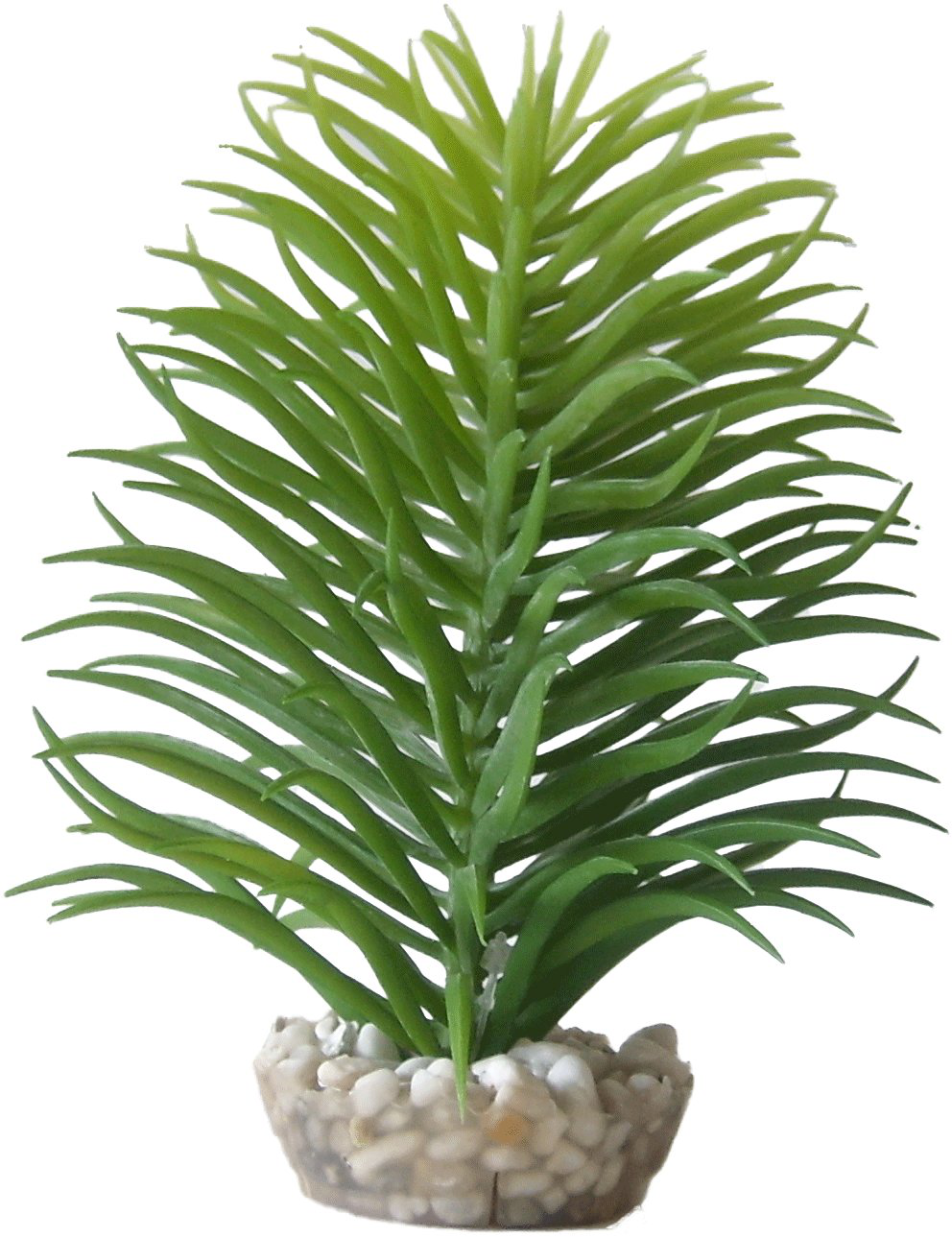 Labeo - Succulente moyen mod&egrave;le Plante Artificielle Aquarium et Terrarium Image num&eacute;ro 3