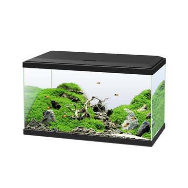 Ciano - Aquarium 60 Noir Equipé - 58L
