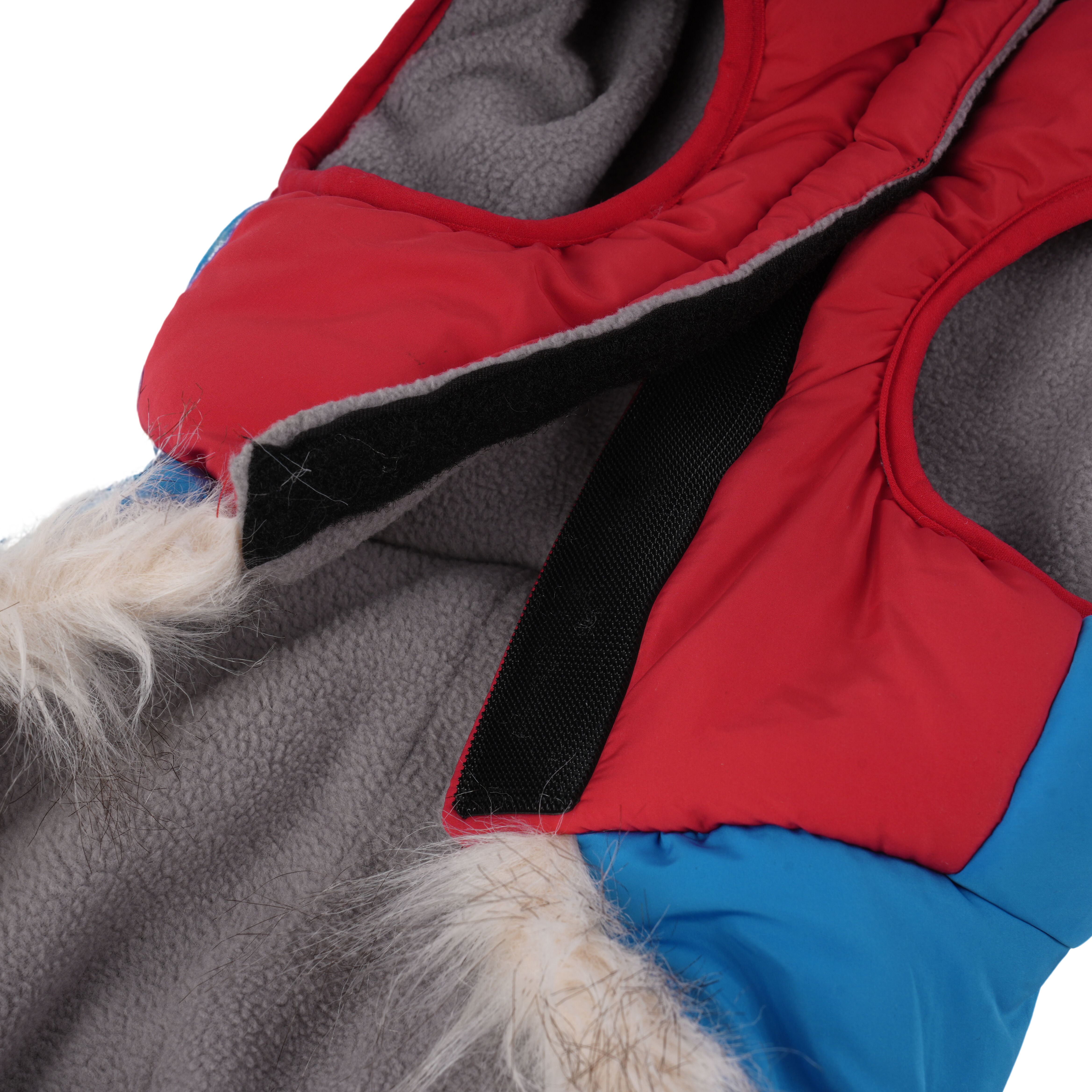 Gotoo - Manteau Imperm&eacute;able Rouge et Bleu pour Chiens - 30cm Image num&eacute;ro 10