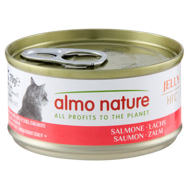 Almo Nature - Pâtée en Boîte HFC Jelly Saumon pour Chat - 70g