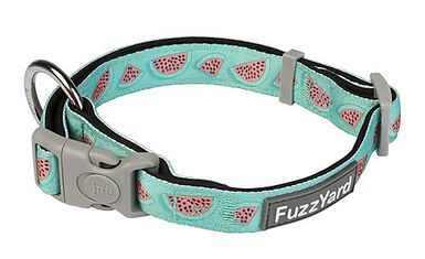 FuzzYard - Collier Summer Punch pour Chien - L