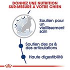 Royal Canin - Croquettes Maxi Ageing 8+ pour Chien Senior - 15Kg image number null