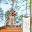 Weenect - Traceur GPS L/XL Edition 2023 pour Chiens - Noir Indicateur image numéro 6