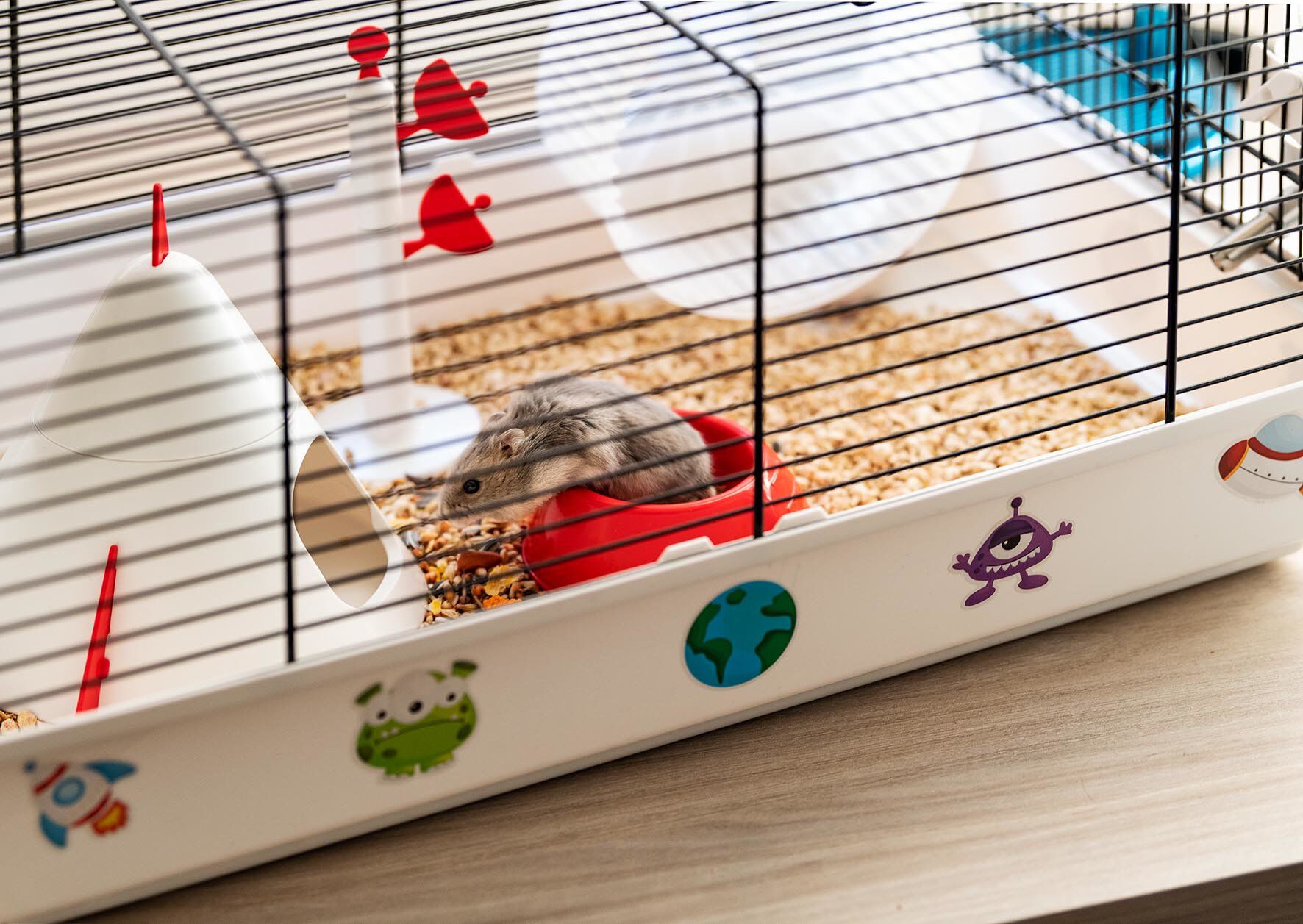 Ferplast - Cage Criceti 9 Space pour Hamsters Image num&eacute;ro 5