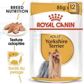 Royal Canin - Pâtée en mousse YORKSHIRE ADULT pour chiens - 12X85G