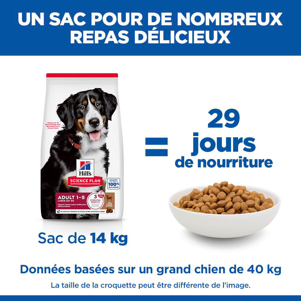 Hill's Science Plan - Adult Croquettes Pour Grand Chien A L'agneau Et Riz  - 12kg Image num&eacute;ro 13