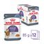 Royal Canin - Sachets Appetite Control Care en Gelée pour Chat - 12x85g Indicateur image numéro 13
