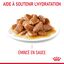 Royal Canin - Sachets Hair&Skin Sauce pour Chat - 12x85g Indicateur image numéro 5