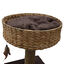 Croci - Arbre à Chat Natural Lilium pour Chat - 52cm Indicateur image numéro 4